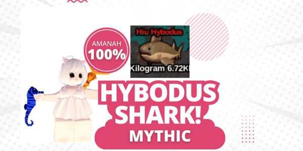 Gambar Product Hybodus Shark