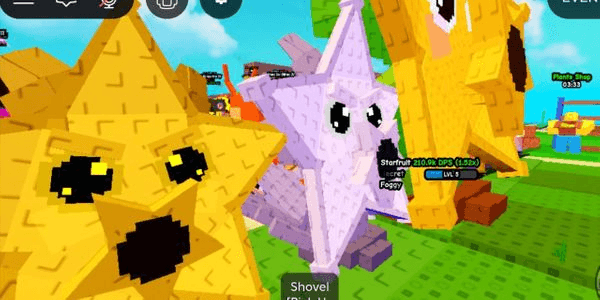 Gambar Product Foggy Starfruit