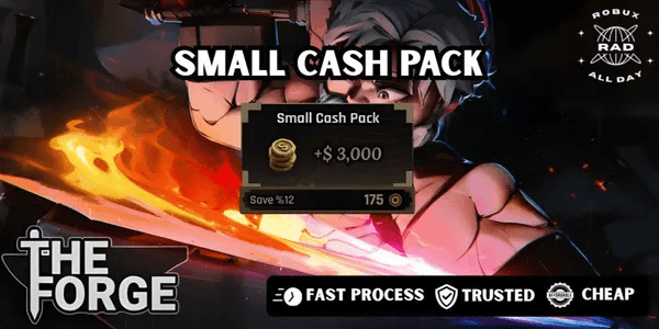 Small Cash Pack