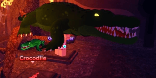 Gambar Product Crocodile