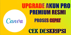 Pro 1 Month