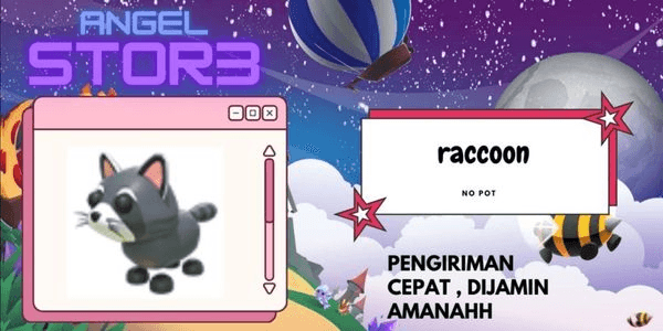 Gambar Product Raccoon