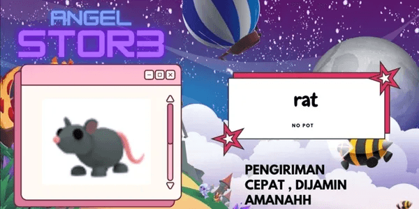 Rat