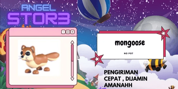 Mongoose