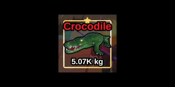 Gambar Product Crocodile