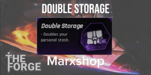 Double Storage