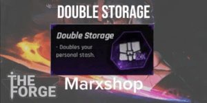 Double Storage