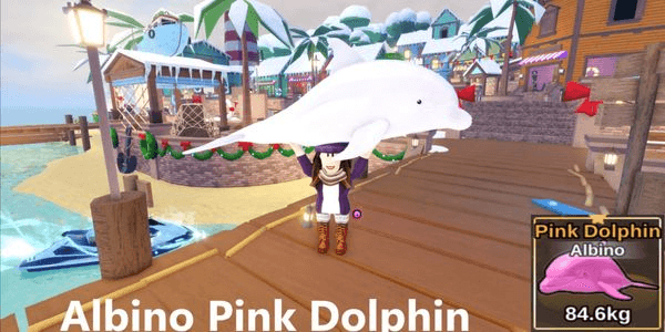 Gambar Product Albino Pink Dolphin