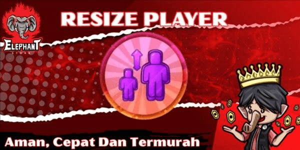 Gambar Product Resize Player