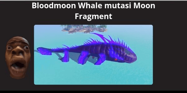Gambar Product Moon Fragment Bloodmoon Whale