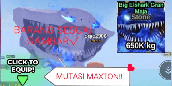 Gambar Product Stone Elshark Gran Maja