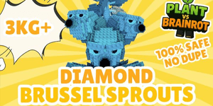 Choux de Bruxelles diamant
