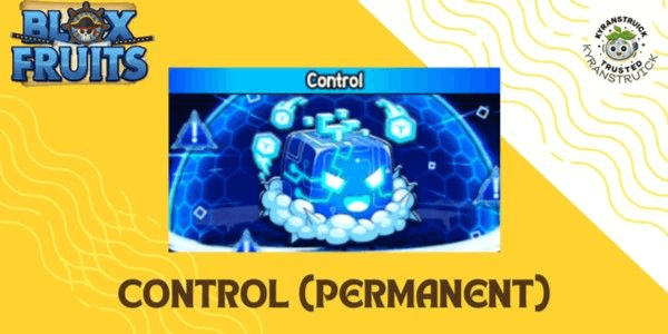 Gambar Product Control (Permanent)