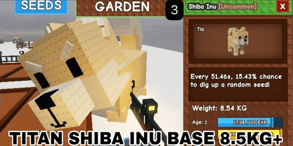 Gambar Product TITAN SHIBA INU / TITANIC SHIBA INU