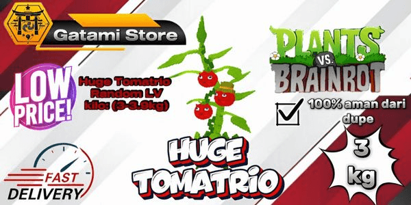 Gambar Product Tomatrio