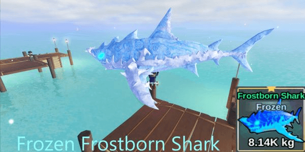 Gambar Product Frozen Frostborn Shark