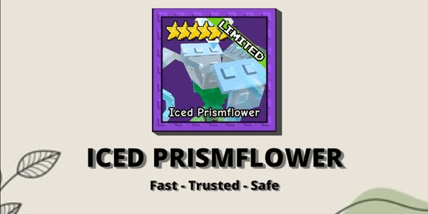 Gambar Product Iced Prismflower