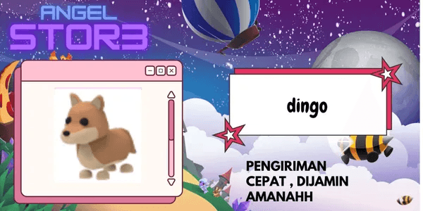Dingo