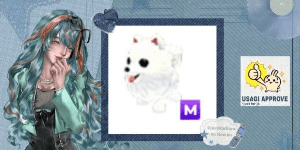 Product Showcase