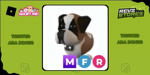 Gambar Product St Bernard