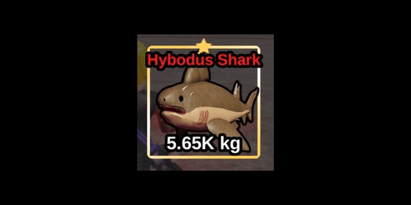 Gambar Product Hybodus Shark