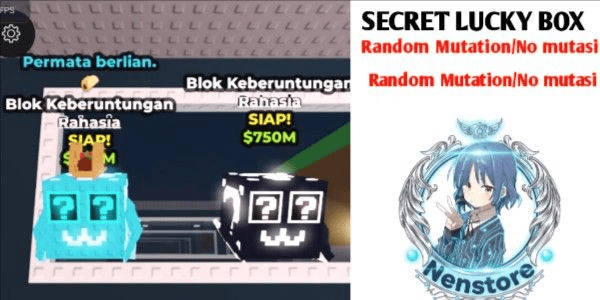 Gambar Product Secret Lucky Block