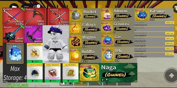 Gambar Product 11 permanent fruits, 6 race v4, 5 game pass, 4 fruit storage, 30 swords, 7 fighting style, 36 accessories, bonus devil fruits