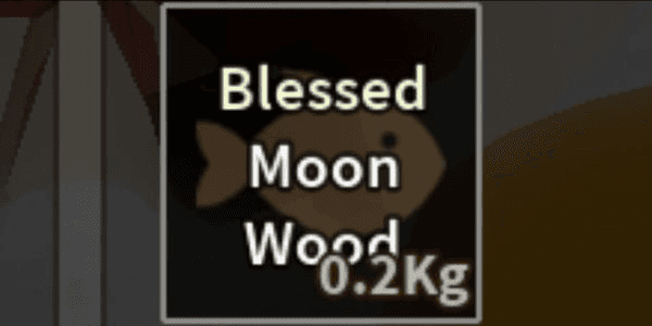 Gambar Product Blessed Moon Wood