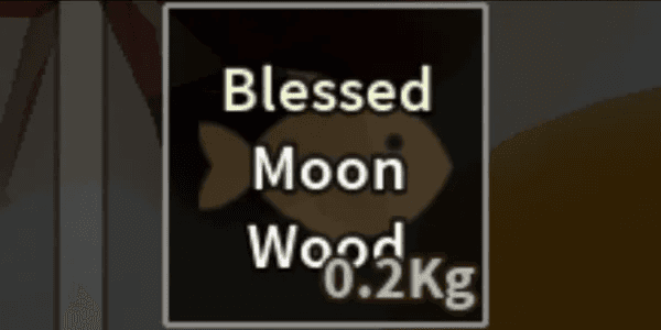 Blessed Moon Wood