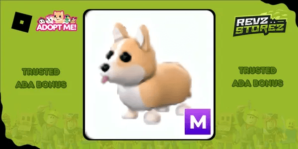 Corgi