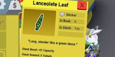 Gambar Product Lanceolate Leaf