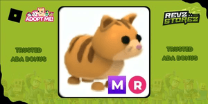 Ginger Cat