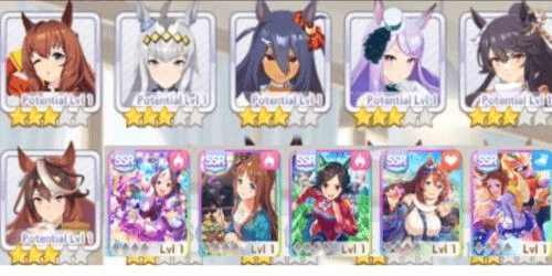 Product Showcase