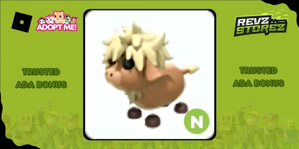 Highland Cow