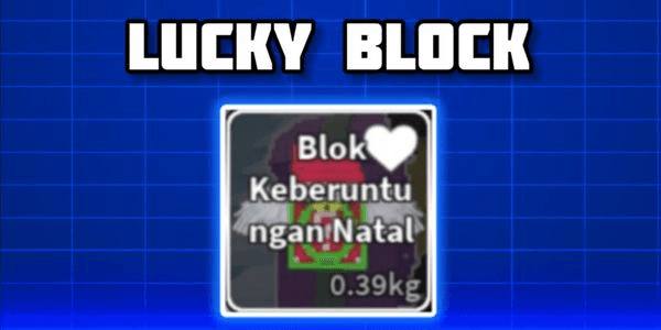 Gambar Product Lucky Block