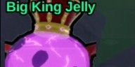 Gambar Product Jelly King