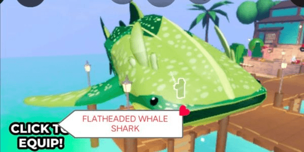 Gambar Product Flatheaded Whale Shark