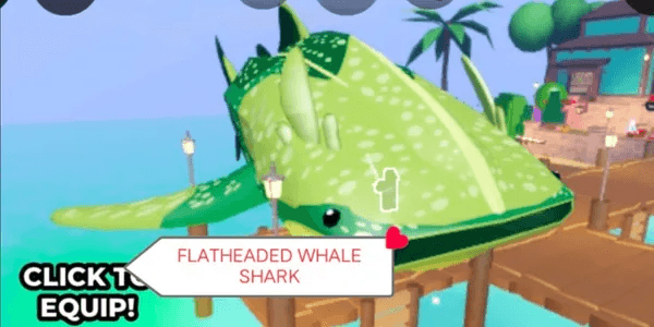 Flatheaded Whale Shark