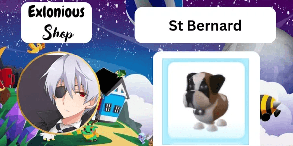 St Bernard