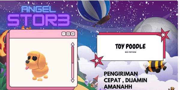 Gambar Product Toy Poodle
