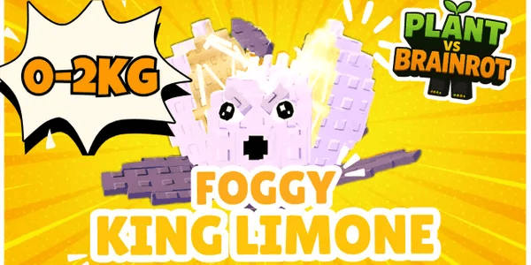 Foggy King Limone