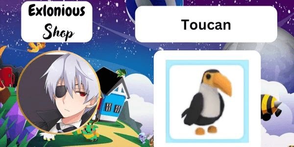 Gambar Product Toucan