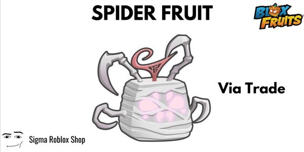 Gambar Product Spider