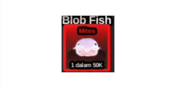 Gambar Product Blob Fish