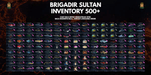 BRIGADIR SULTAN INVENTORY 500+ QC 6 MONTHS QR 6 MONTHS. (CHAT BEFORE ORDER, CODE LV15)