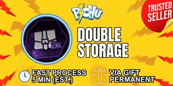 Double Storage
