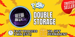 Double Storage