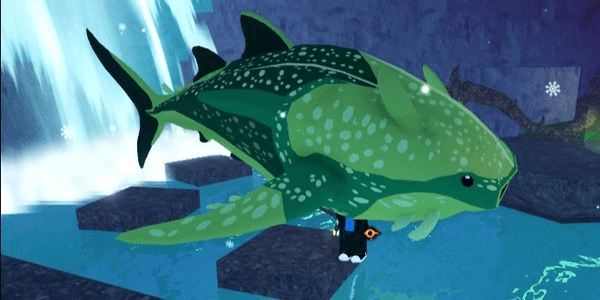 Gambar Product Flatheaded Whale Shark