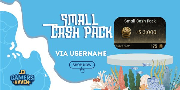 Gambar Product Small Cash Pack