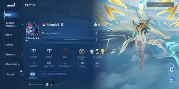 Gambar Product AKUN HOK SKIN MEWAH FULL GARANSI